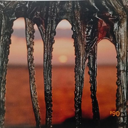 Apartmani Sollei Petrcane Buitenkant foto