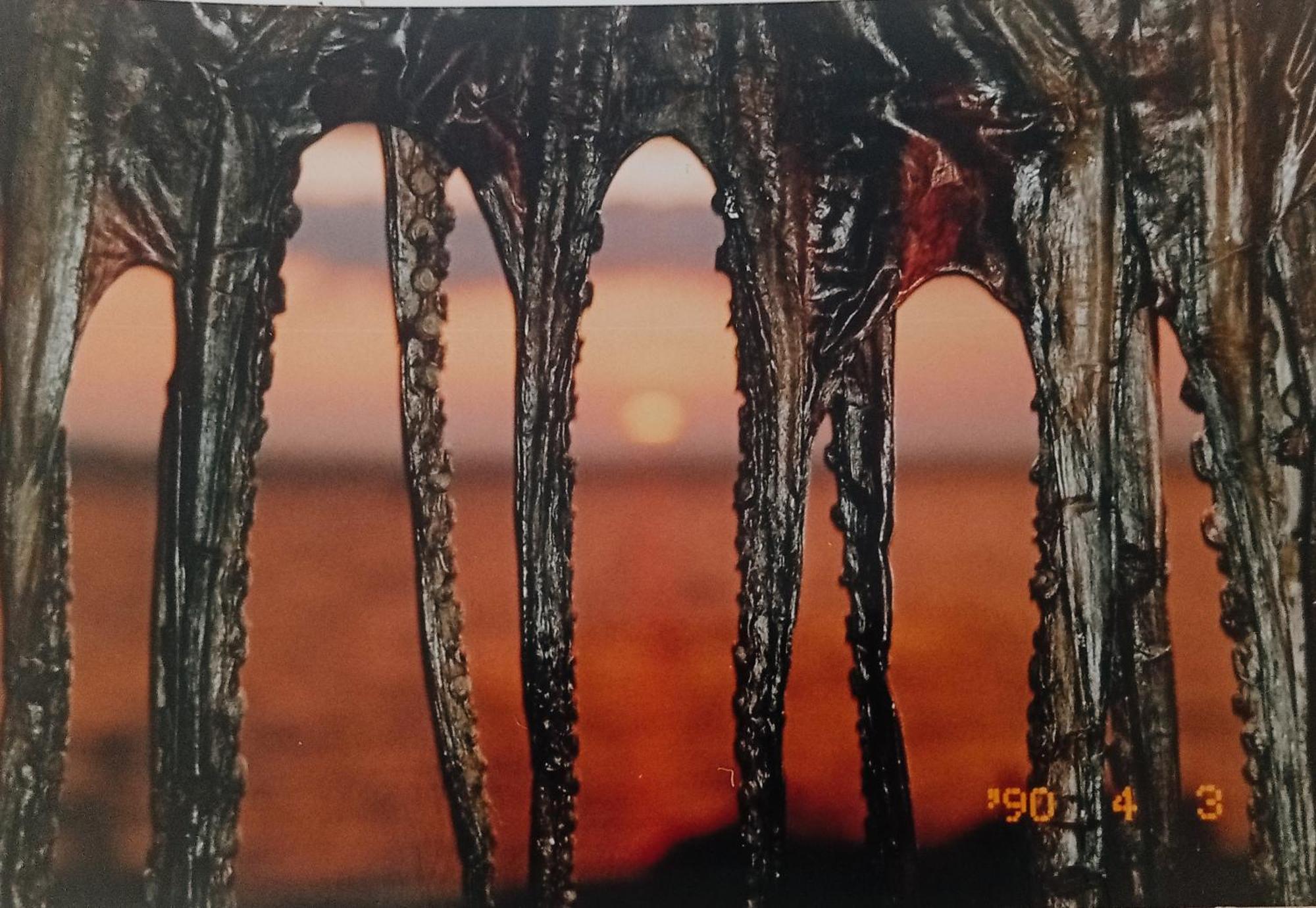Apartmani Sollei Petrcane Buitenkant foto